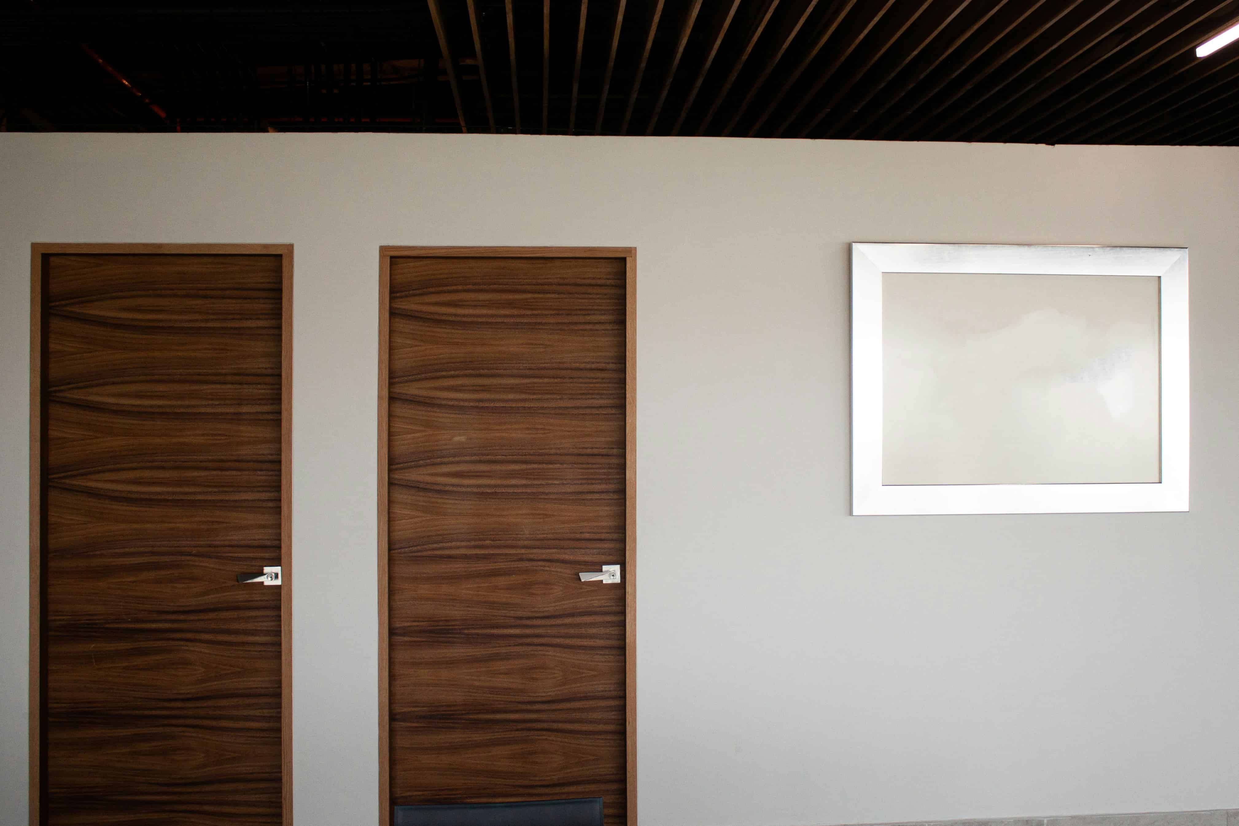 Flush Minimalist Interior Doors