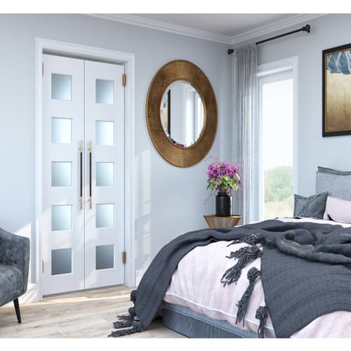 Contemporary Modern Double Swinging Glass Doors 