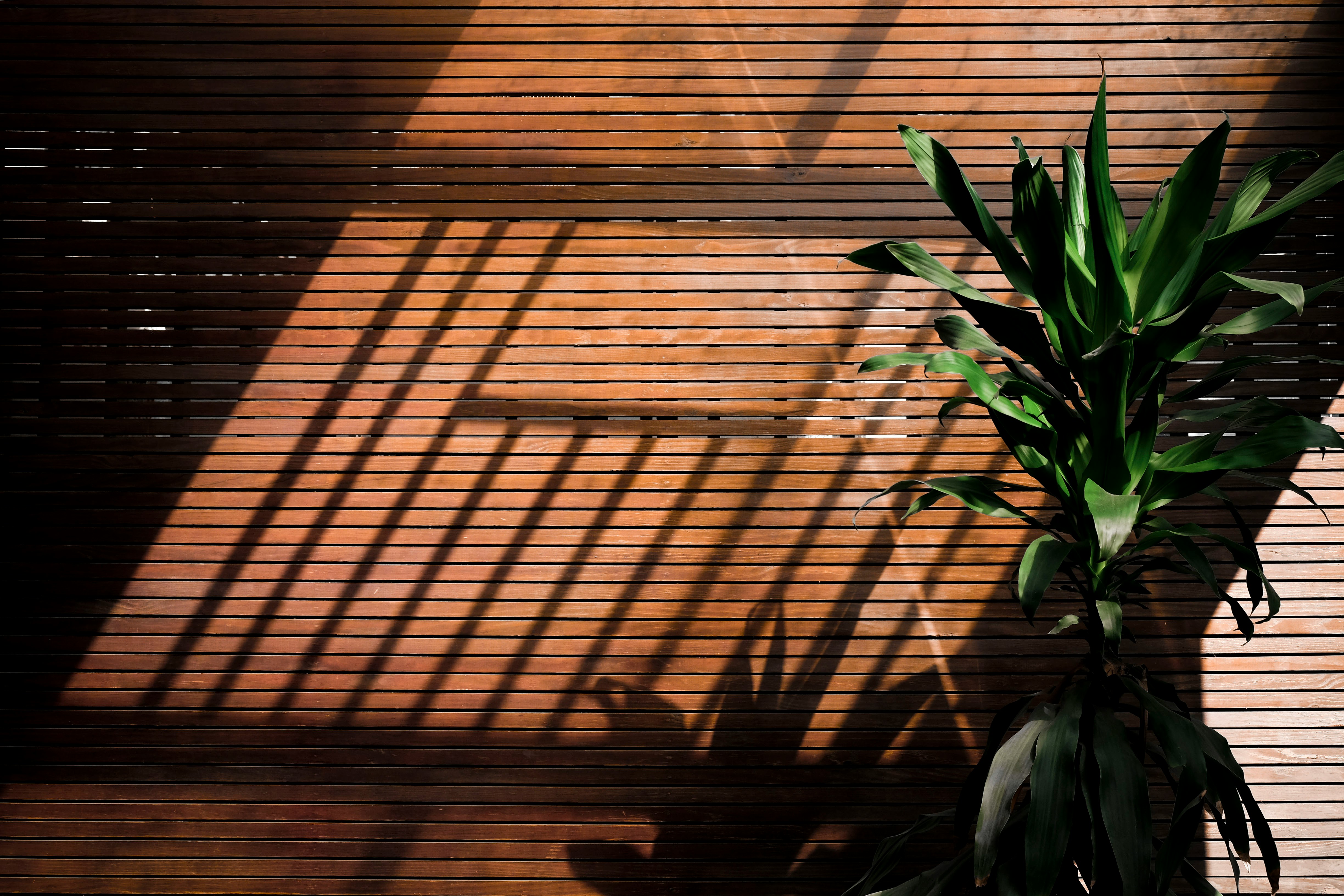 Louvered Wall