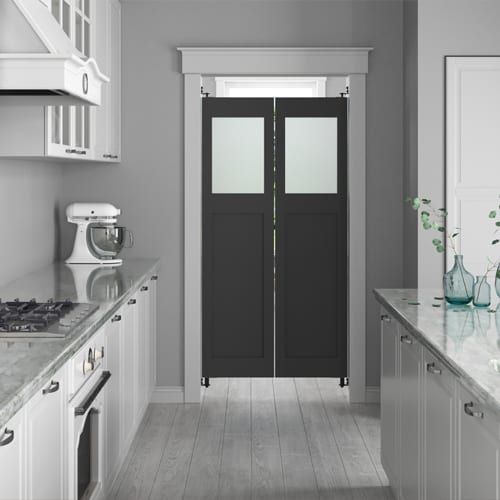 Modern Glass Swinging Doors 