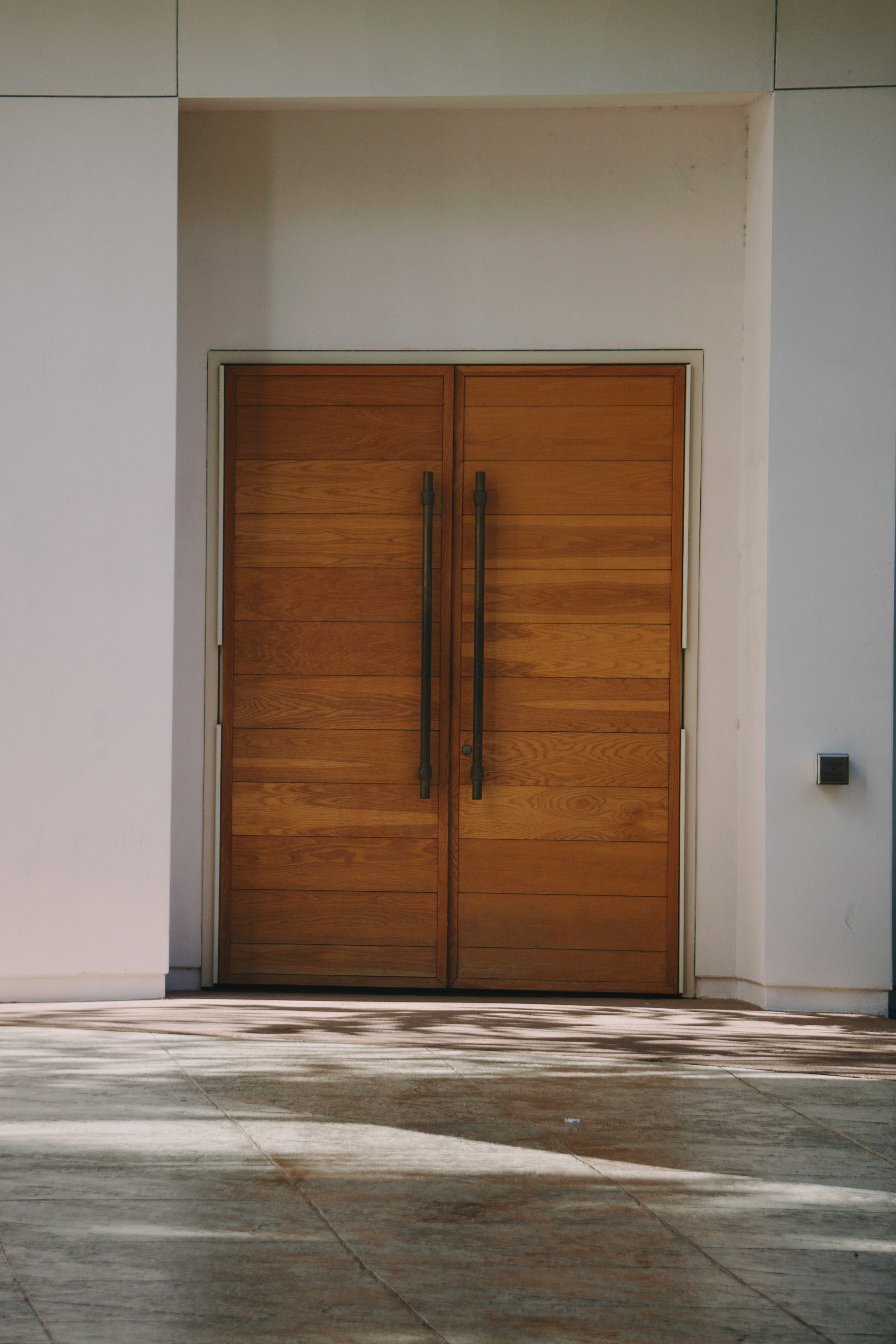 Modern Contemporary Wood Door